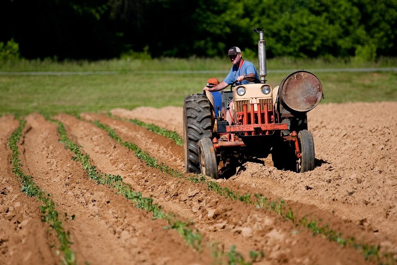 B.Sc. Hons Agriculture Degree Scope