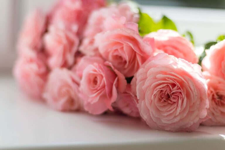 5 Most Romantic And Popular Flower Bouquet For Valentine’s Day