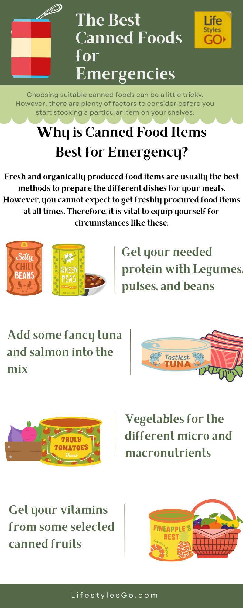 Best canned foods infographic