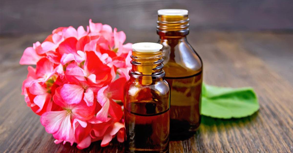 Geranium Oil