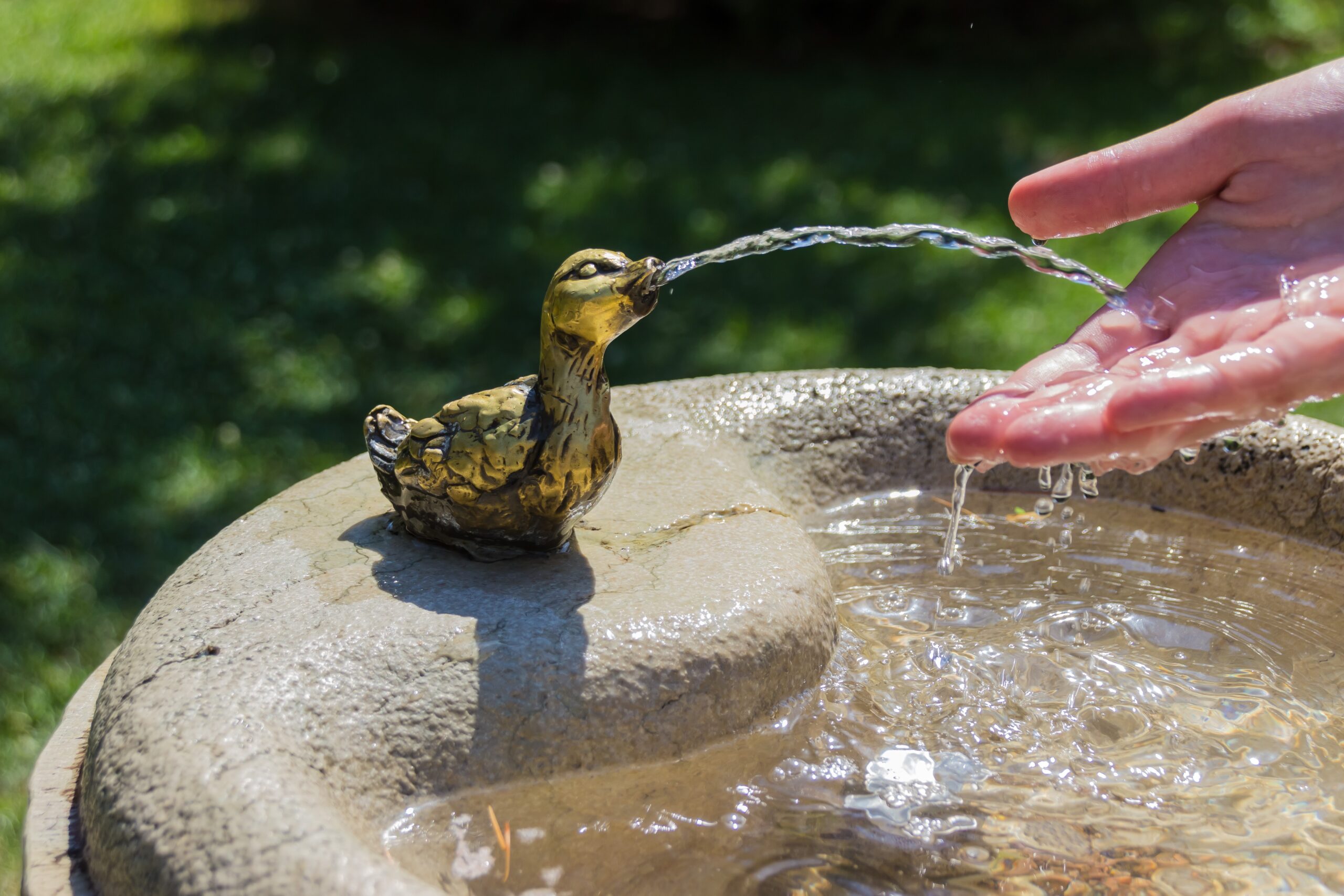 Drinking Poorly Preserved Tap Water